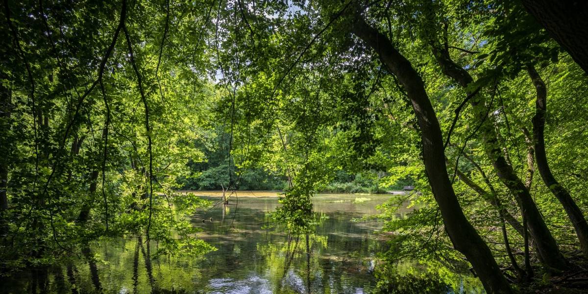 Almebronnen met Mühlental